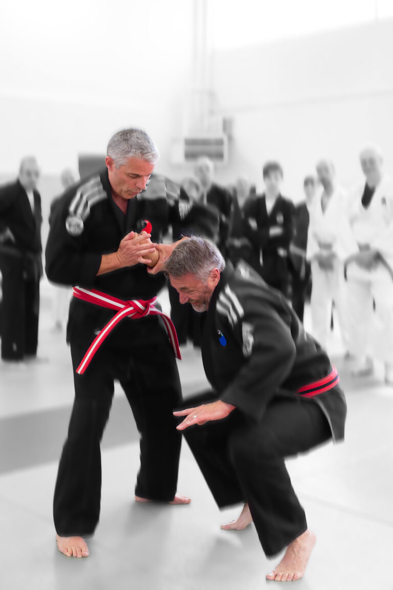 AIKI TAI DO